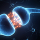 Illustration for article titled Does consciousness arise from quantum processes in the brain?